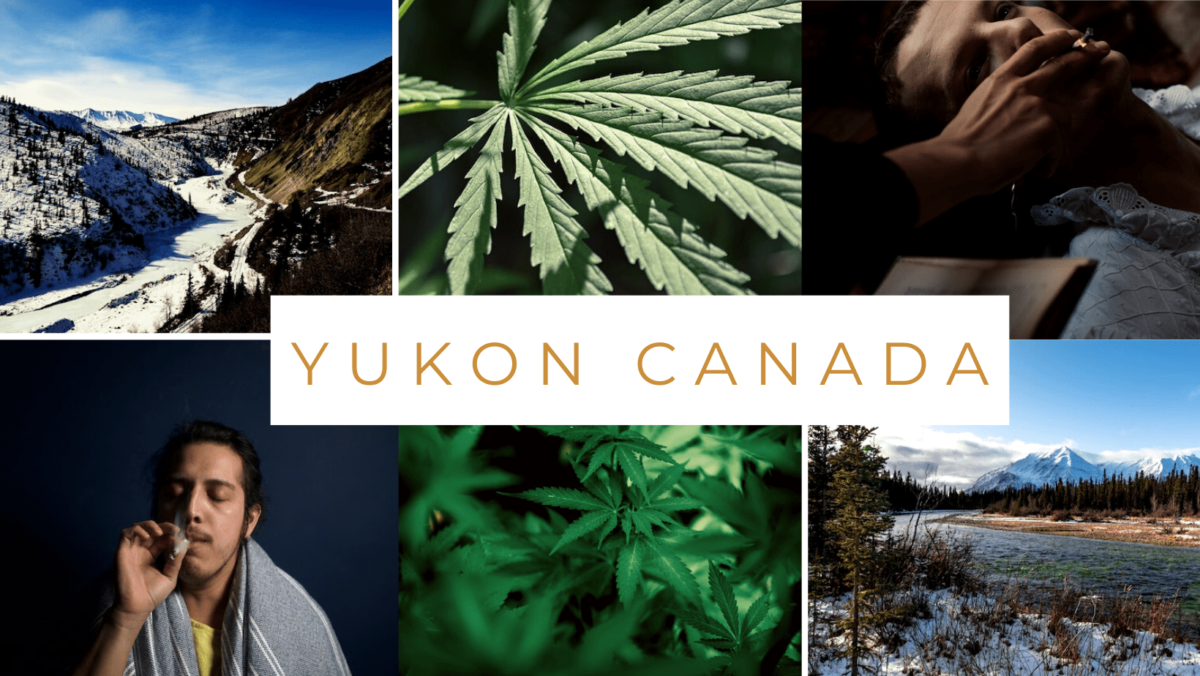Yukon cannabis online dispensary