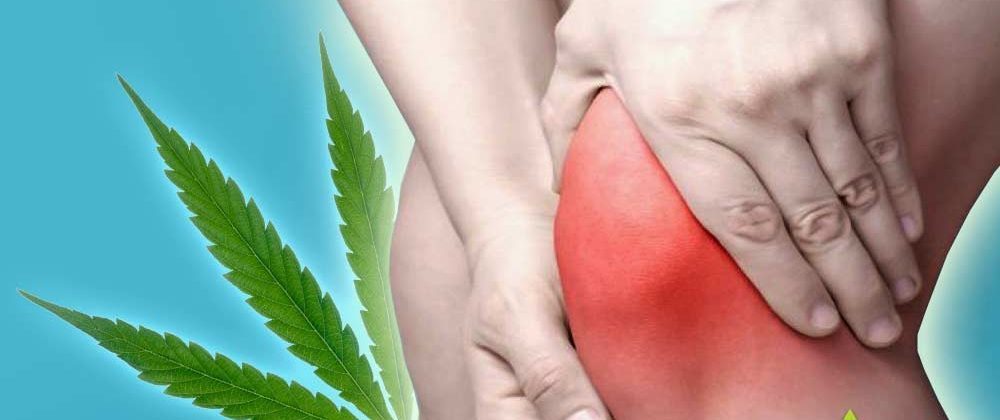 CBD for Inflammation How Cannabidiol Can Reduce Body 1000x600 1 e1683811729824 | Multiple Sclerosis