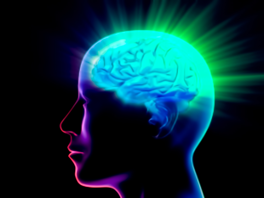 the mind | brain connectivity