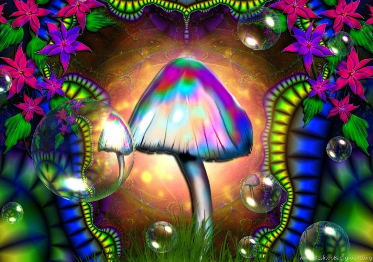 244557 shrooms wallpapers wallpapers | psychedelic renaissance
