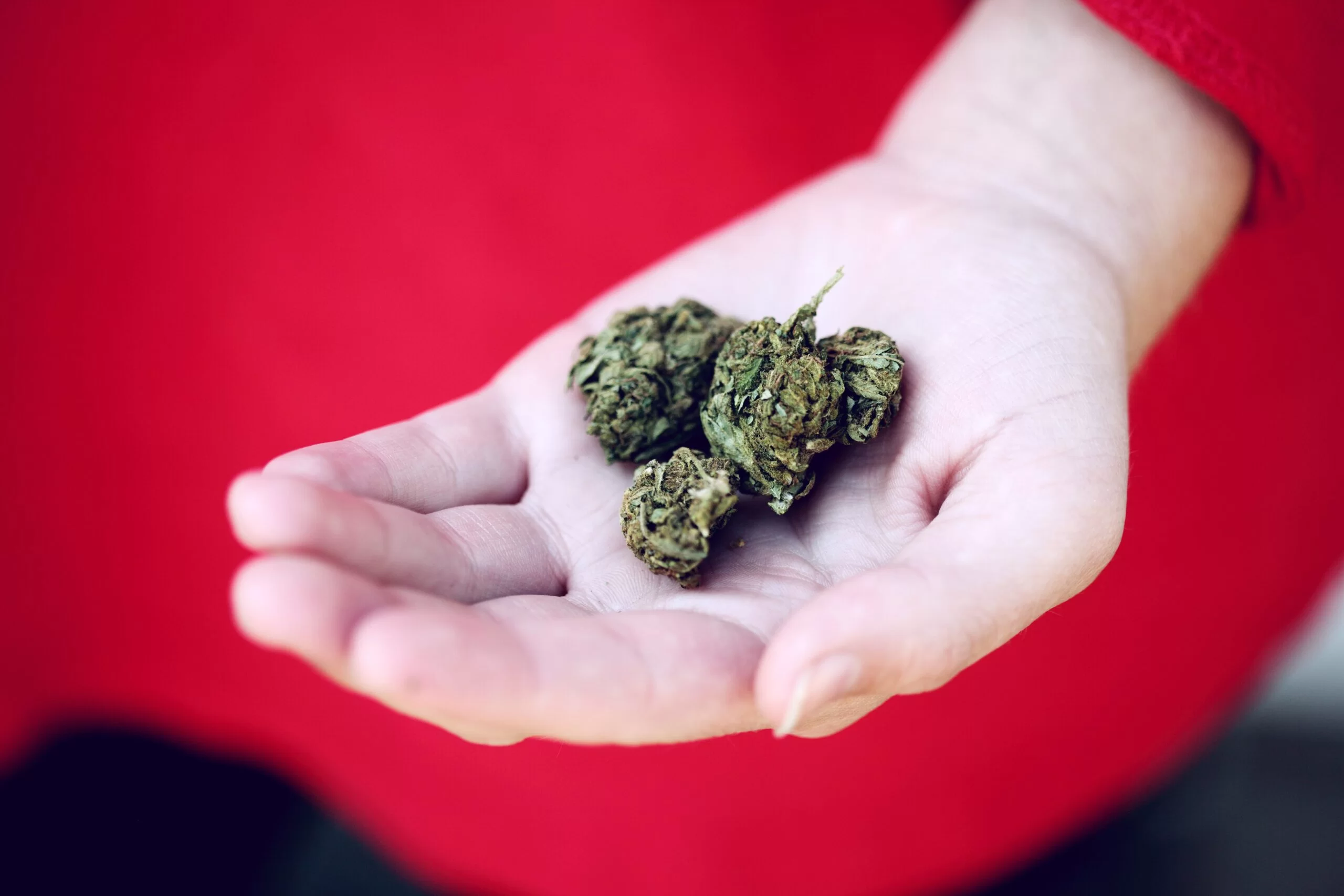 2020 09 25 Petitie dringt aan op medische cannabisverzekering voor Canadezen scaled 1 | Brain