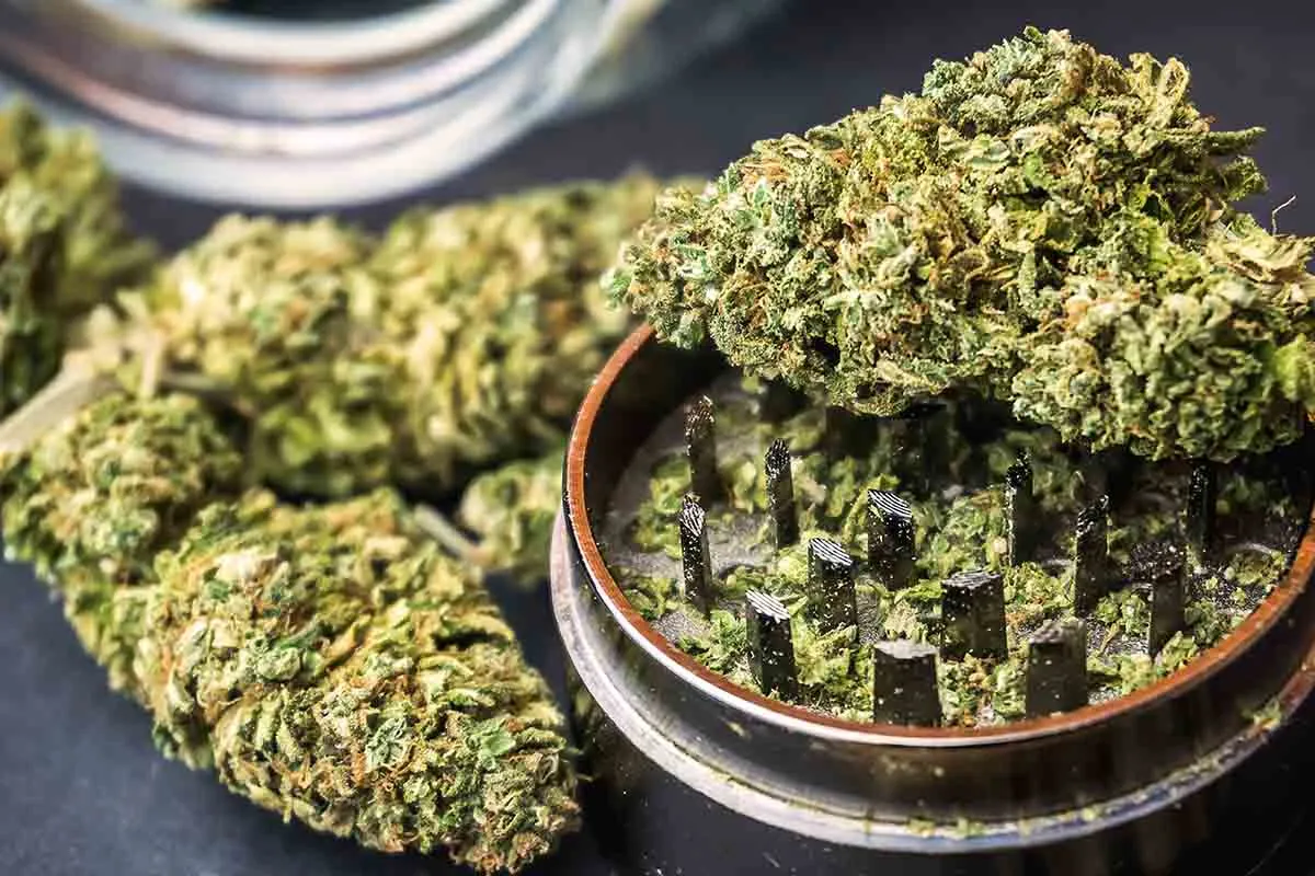 cannabis flower | Innovation